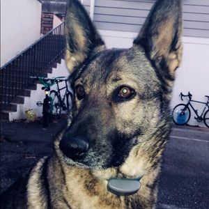 Meet your Posher, Olivia